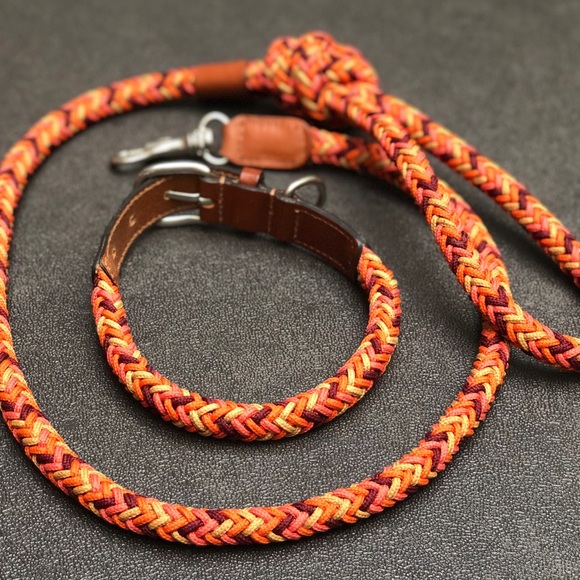 ⭐️Host Pick⭐️ Zara Multi-Coloured Braided Leash and Collar - Picture 11 of 12